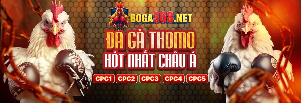 Trải nghiệm Live Casino chân thực tại Vin88 App